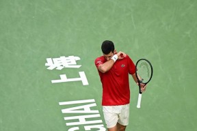 AYX-德约科维奇爆冷击败德国队，逆转引爆全场！的简单介绍