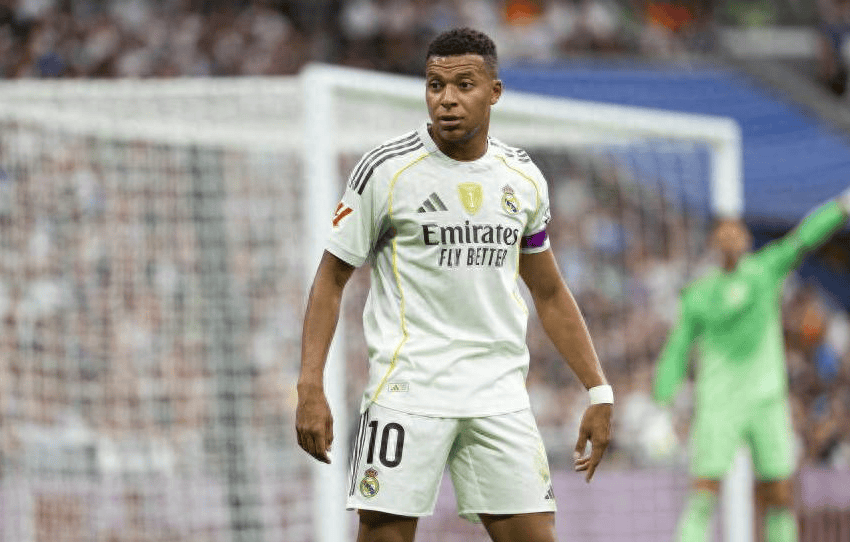  动物世界游泳锦标赛800米自由游泳决赛 