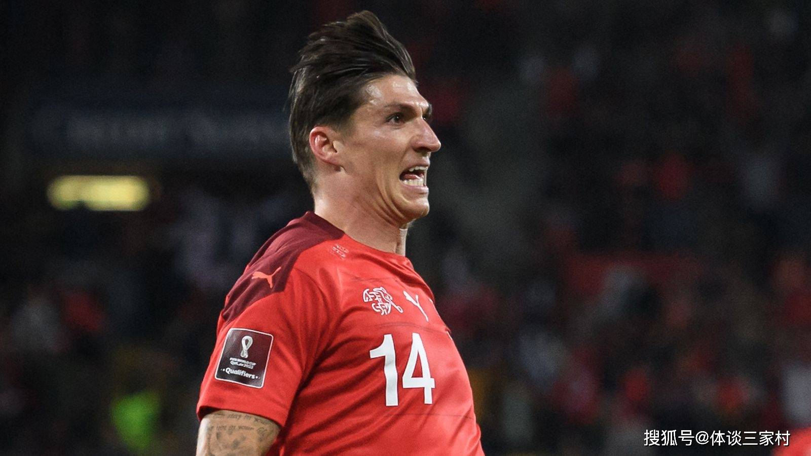 瑞士队队员 瑞士队队员